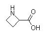 Azetidine-2-carboxylic acid
