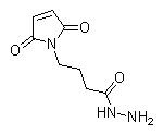 4-MALEIMIDOBUTYRIC ACID HYDRAZIDE